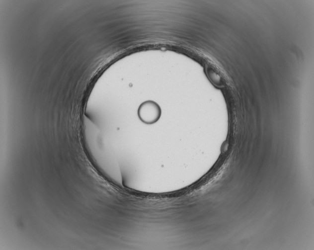 X0000110320977200906181820