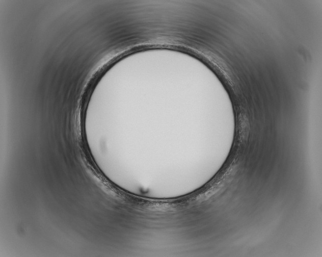 X0000110320982200906181820