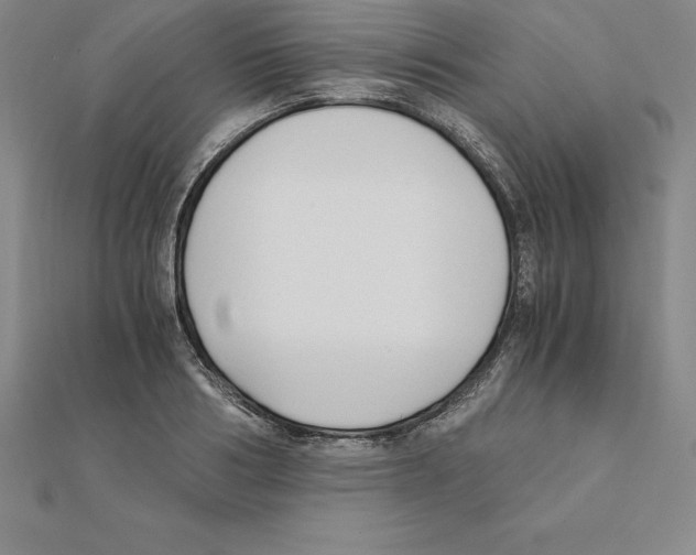 X0000110320986200906181820