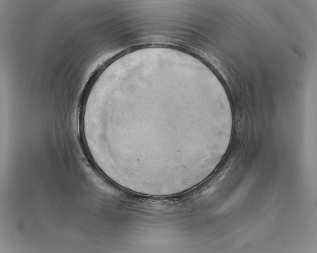 X0000110320987200906181820