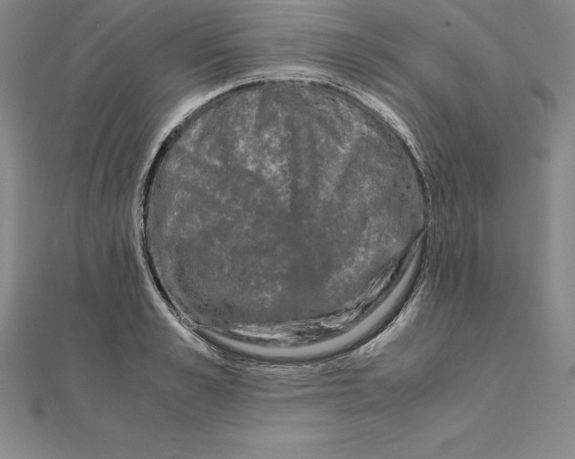 X0000110320989200906181820