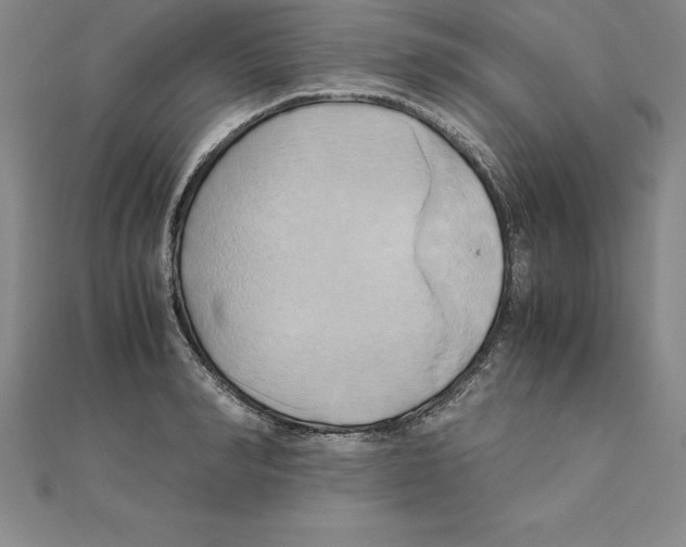 X0000110320990200906181820