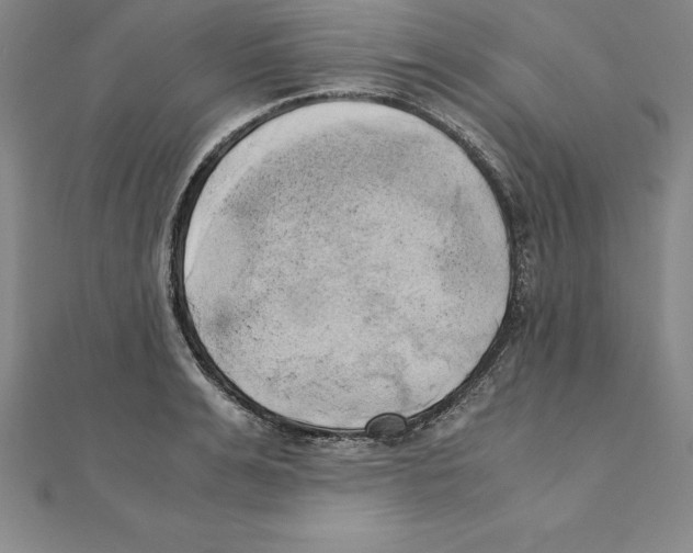 X0000110320991200906181820