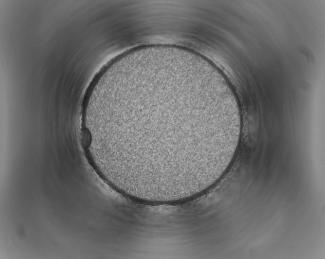 X0000110320992200906181820