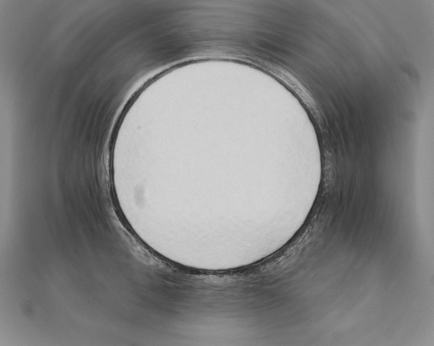 X0000110320996200906181820