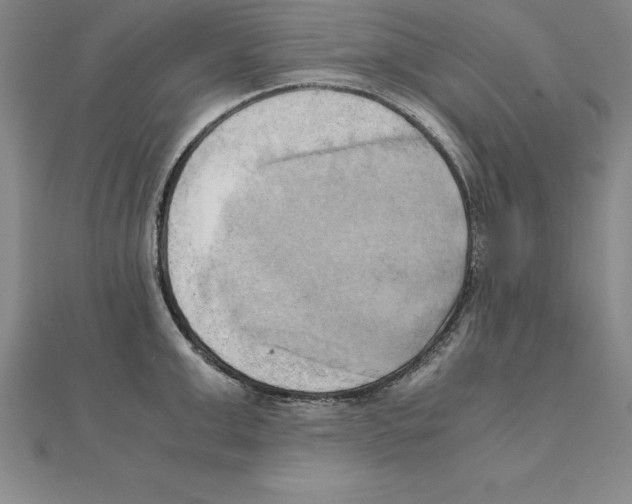 X0000110320999200906181820