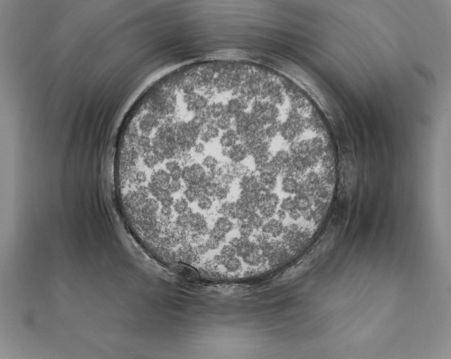 X0000110321000200906181820