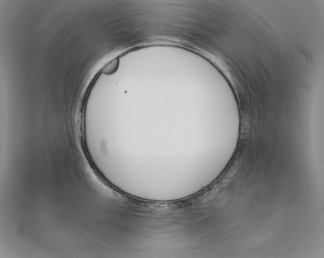 X0000110321003200906181820