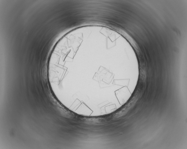 X0000110321004200906181820