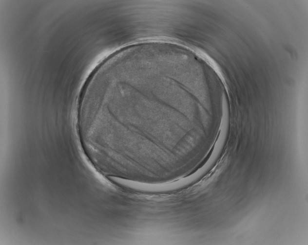 X0000110321005200906181820