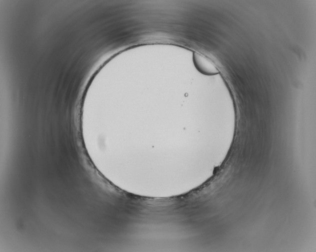 X0000110321008200906181820