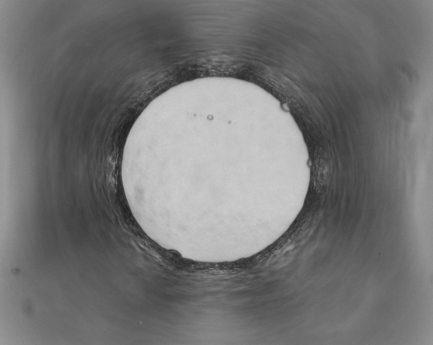 X0000110321010200906181819