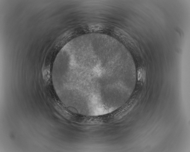 X0000110321011200906181819