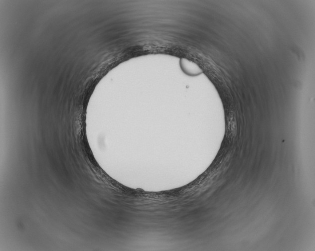 X0000110321012200906181819