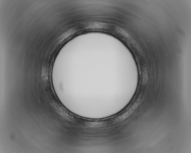 X0000110321017200906181819