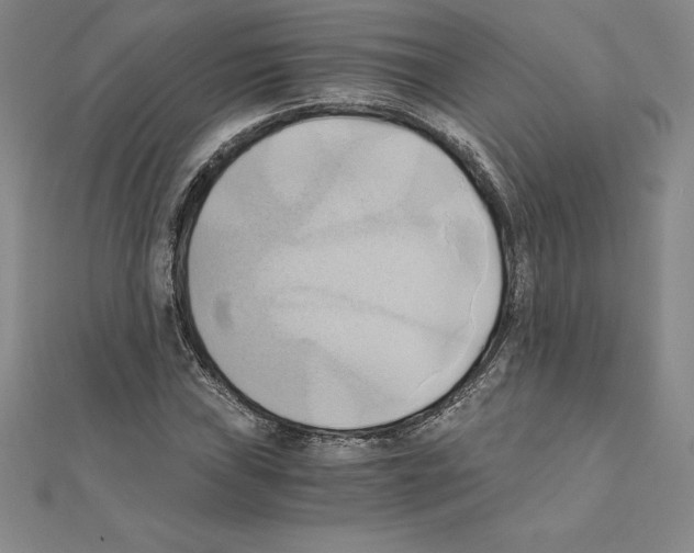 X0000110321019200906181819