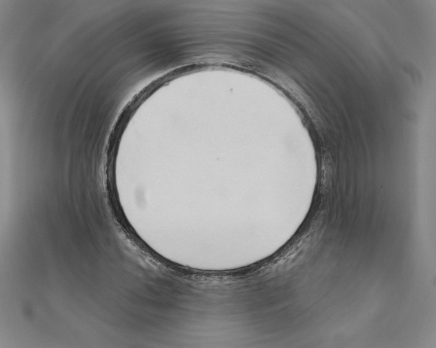 X0000110321020200906181819