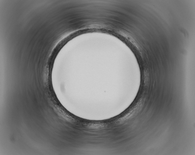 X0000110321021200906181819