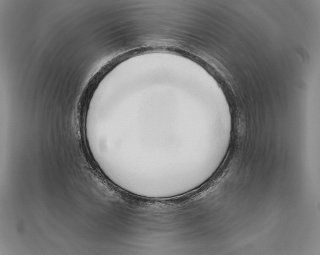 X0000110321022200906181819