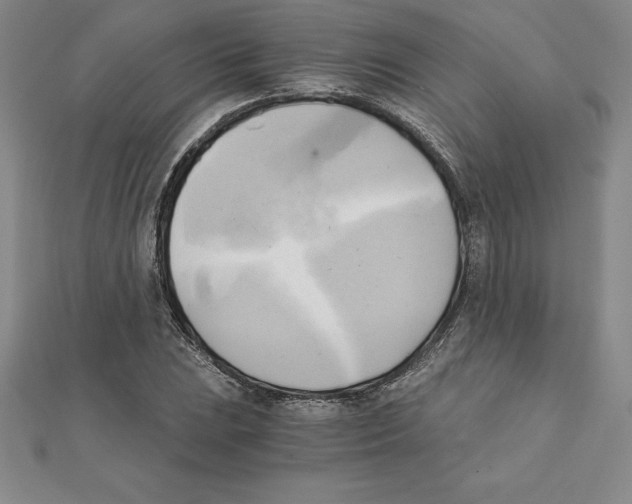 X0000110321023200906181819