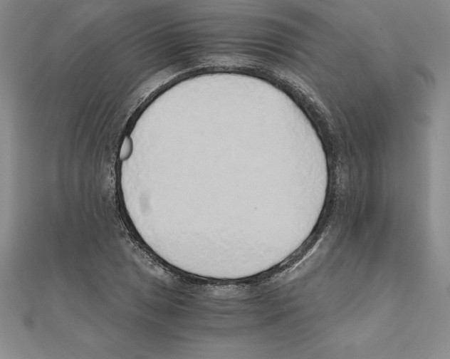 X0000110321025200906181819