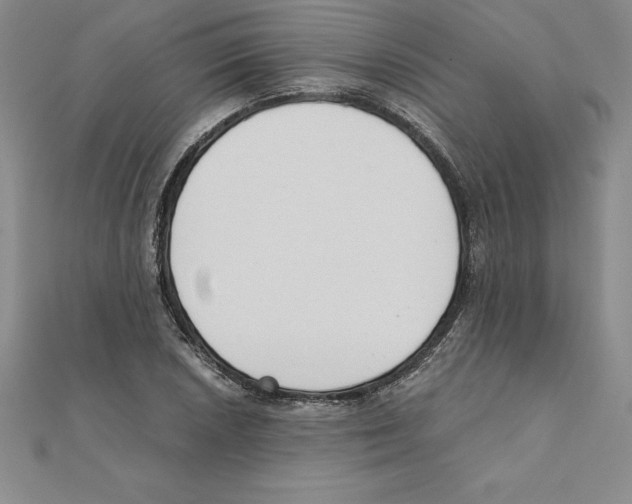 X0000110321026200906181819