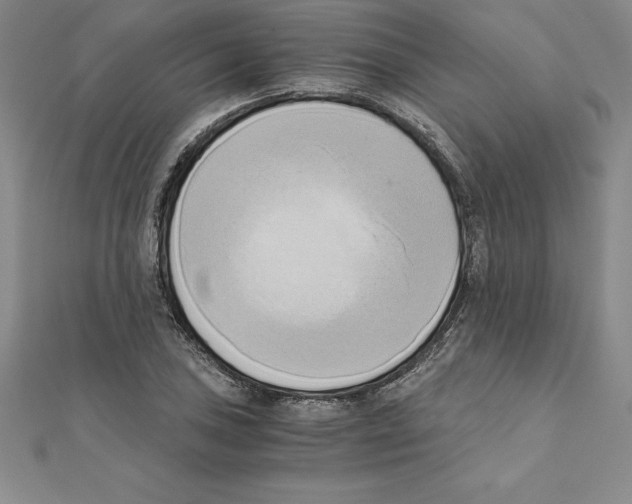 X0000110321027200906181819