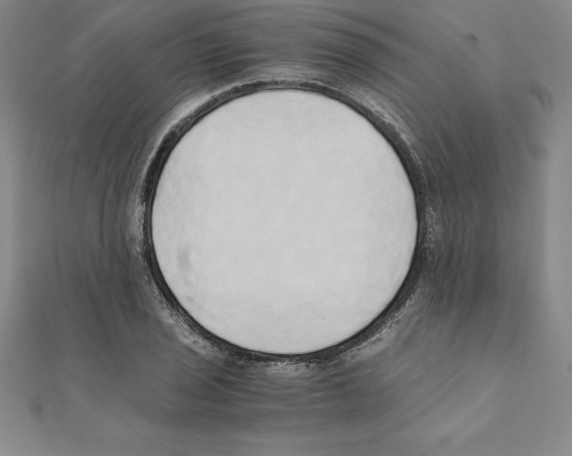 X0000110321029200906181819