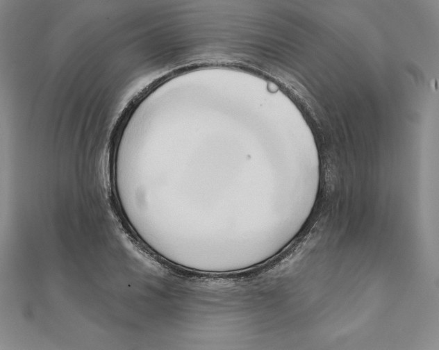 X0000110321030200906181819