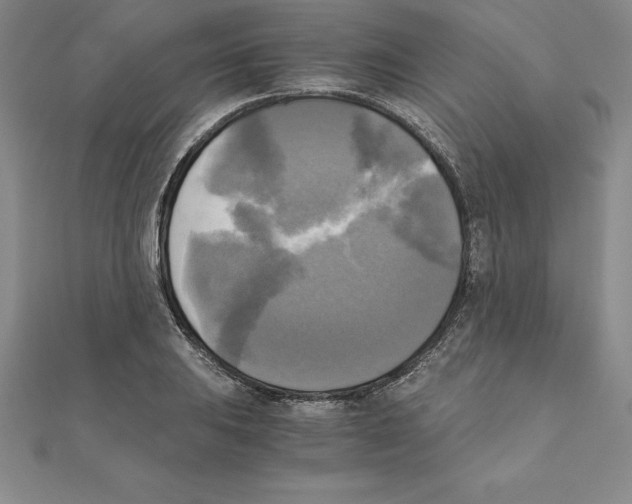 X0000110321031200906181819