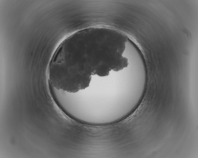 X0000110321032200906181819