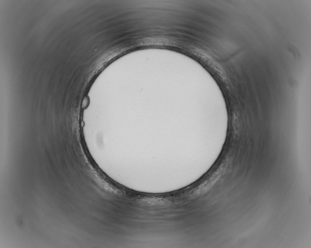 X0000110321033200906181819