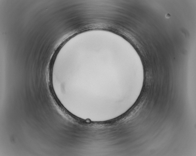 X0000110321034200906181819