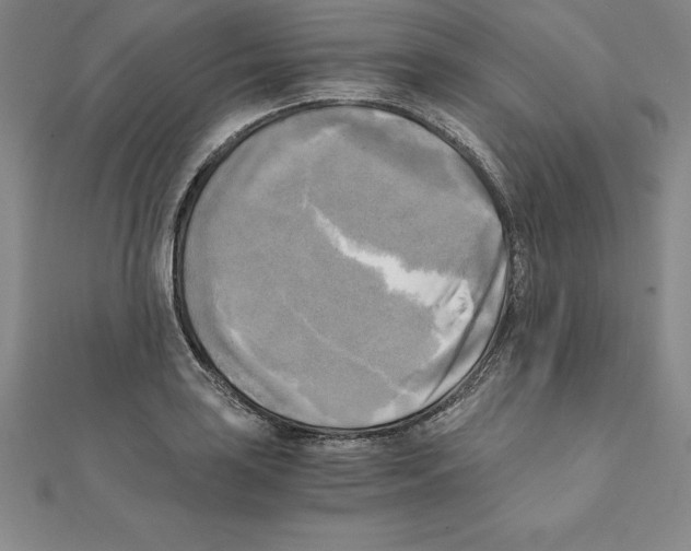 X0000110321035200906181819