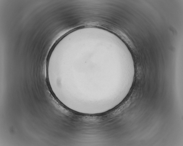 X0000110321036200906181819