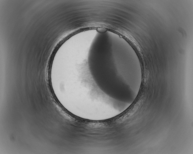 X0000110321037200906181819