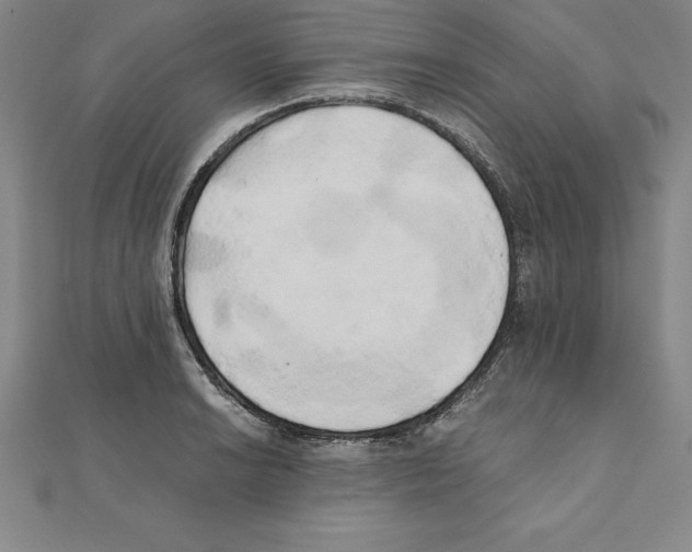 X0000110321038200906181819