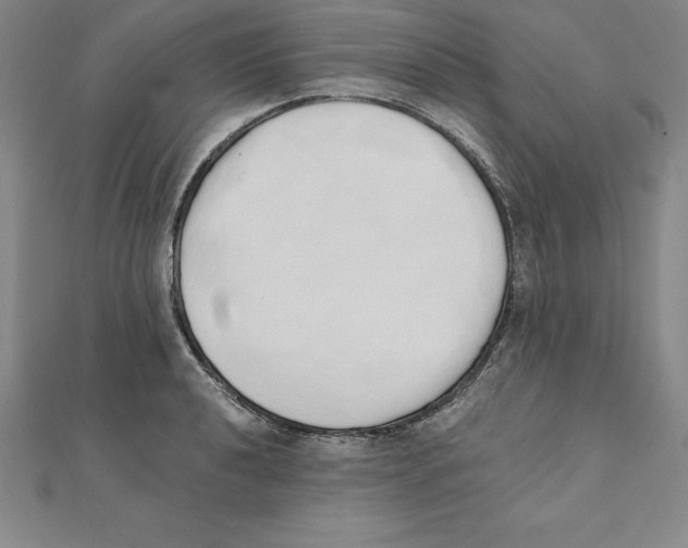 X0000110321040200906181819