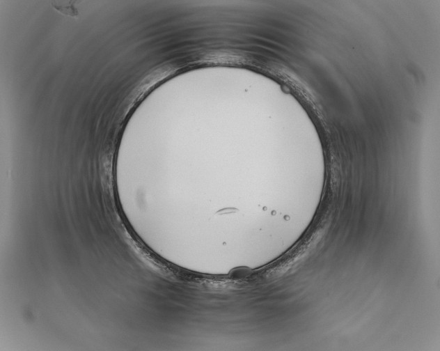 X0000110321041200906181819