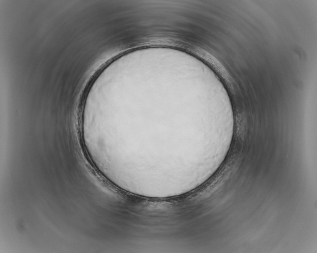 X0000110321043200906181819