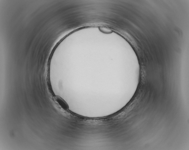 X0000110321044200906181819