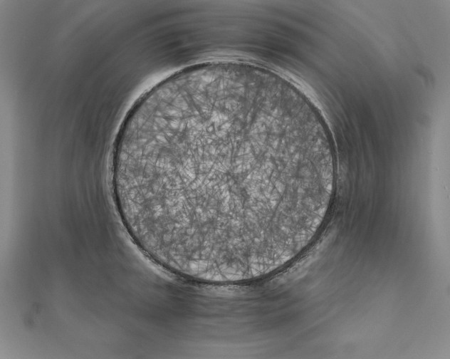 X0000110321045200906181819