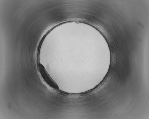 X0000110321046200906181819