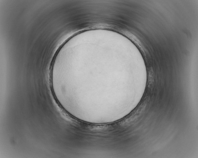 X0000110321047200906181819