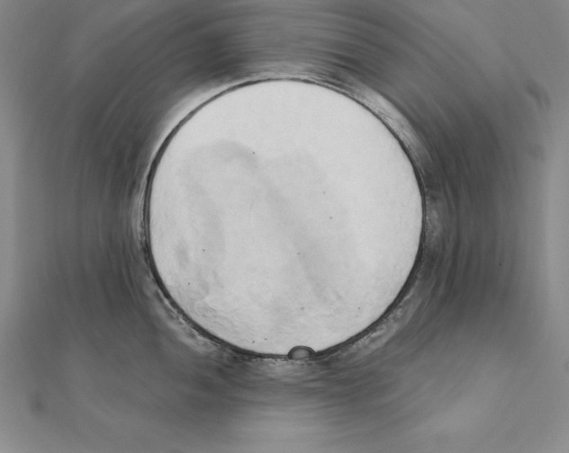 X0000110321052200906181819