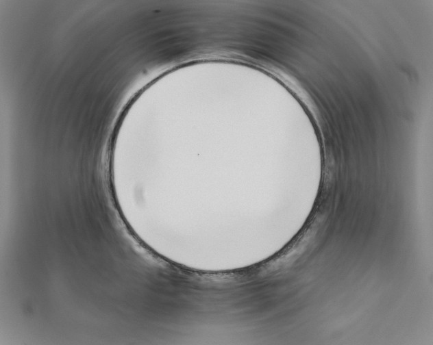 X0000110321053200906181819