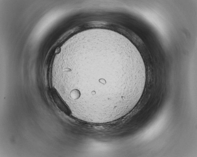 X0000110321054200906181820