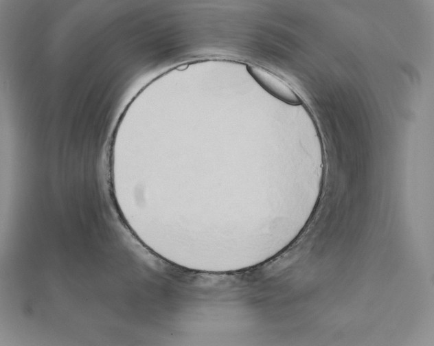 X0000110321056200906181820