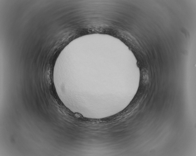 X0000110321060200906181819