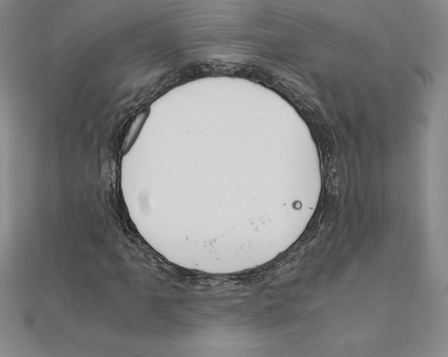 X0000110321061200906181819